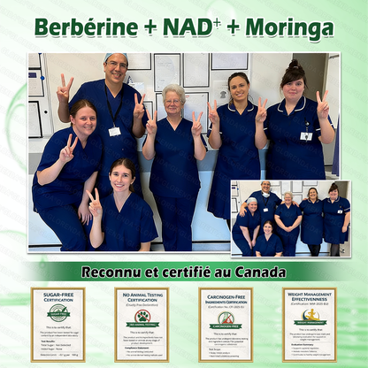 🔥 Plus que 10 boîtes ! −30 % aujourd’hui Patch 10-en-1 GLORENDA® Moringa · Berbérine × NAD⁺ — testé par des médecins, sûr et efficace. 4 à 6 patchs pour soutenir le poids, la glycémie, la digestion et l’énergie.